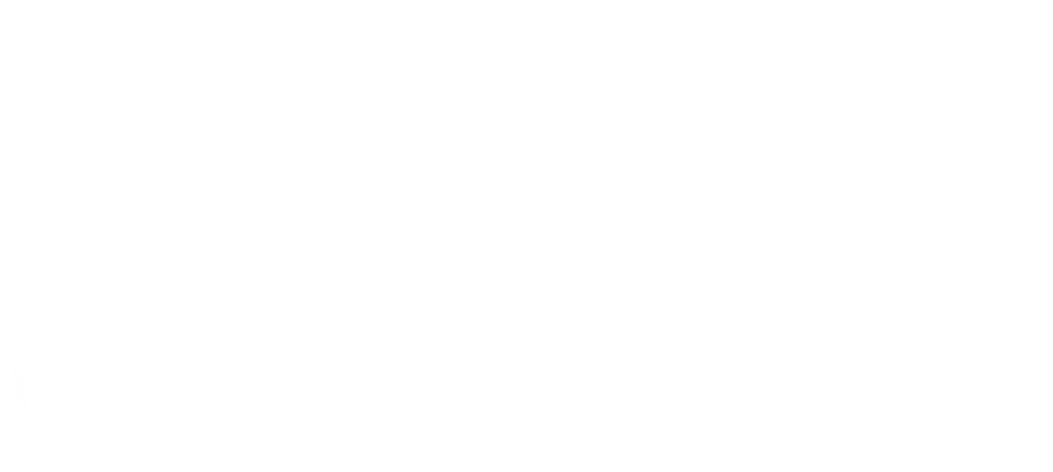 The Rejuvenation Centre